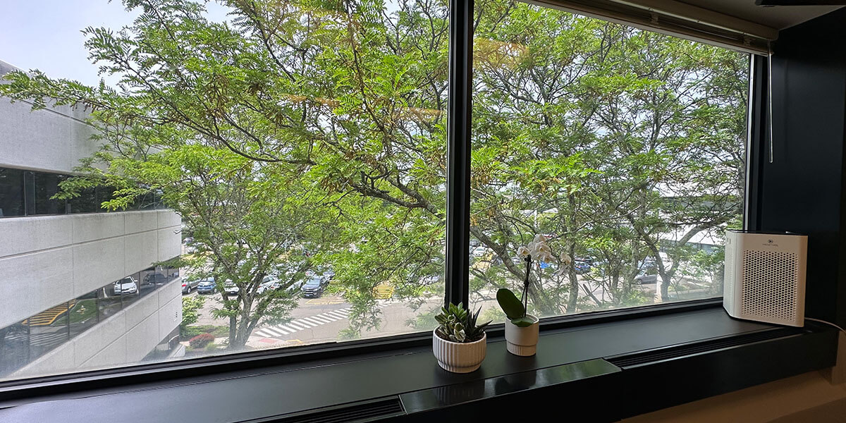 Decorative Image Office Window